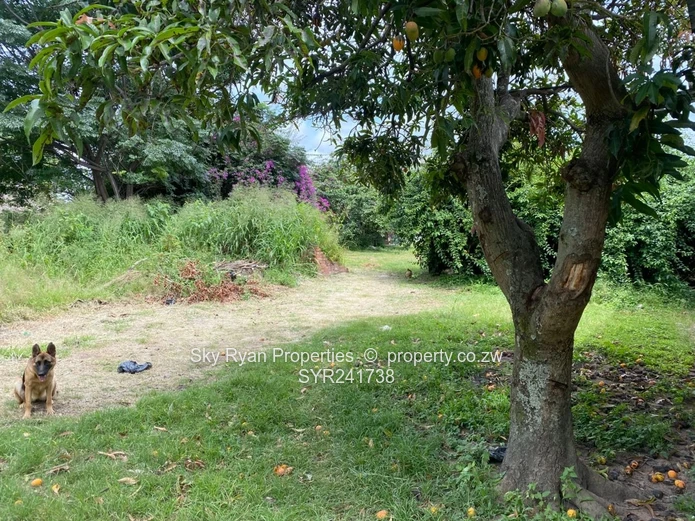 St Patricks And Addison Rd, Hatifield Subdivision Stand For Sale