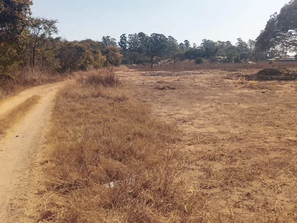 Commercial & Industrial Land