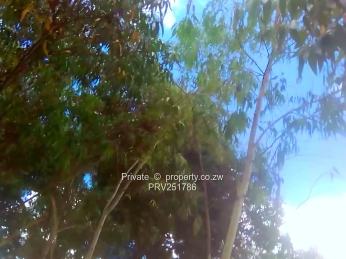 Prime Agro-Residential Plot For Sale Innyazura Along Chivhu Highway!
