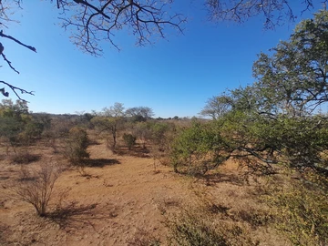 Farm & Agricultural Land