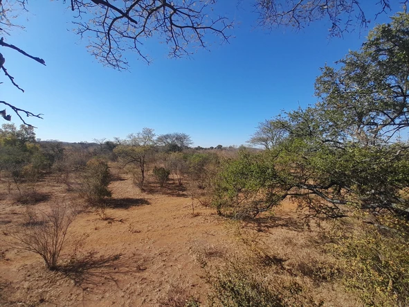 Farm & Agricultural Land