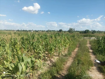 Commercial & Industrial Land