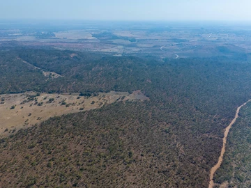Farm & Agricultural Land