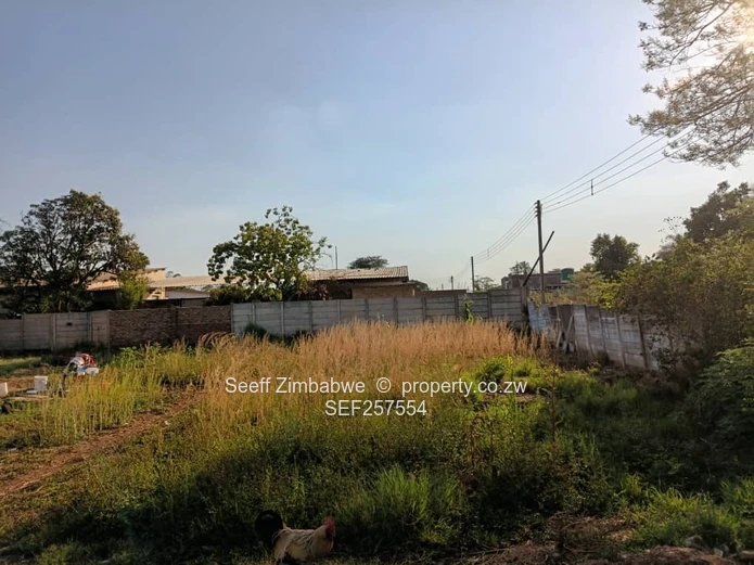 Walled Workshop & Warehouse 2325m² — Chinhoyi, Good ZESA (Sole Mandate)