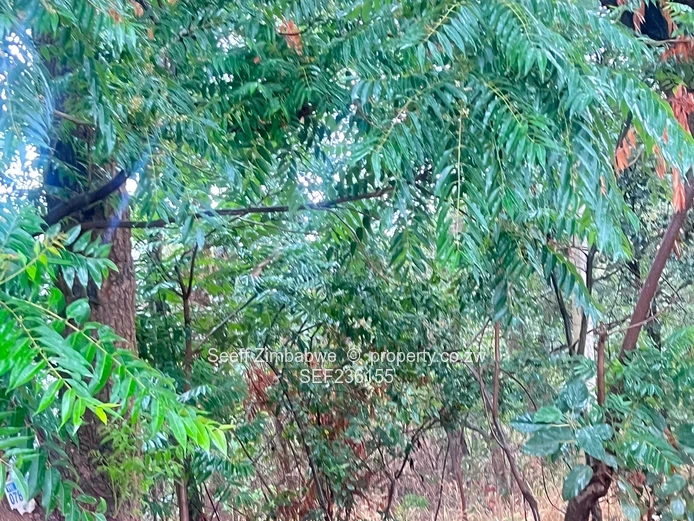 Land For Sale In Mandara