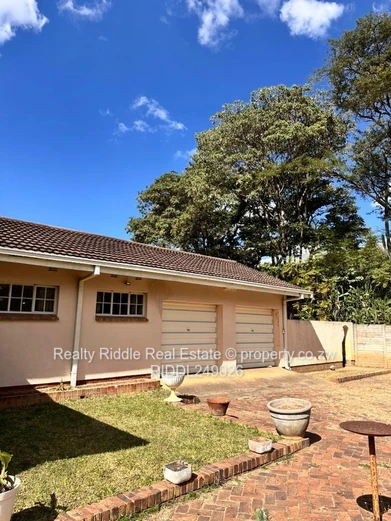 Orange Groove Drive After sought