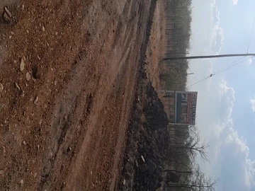 Farm & Agricultural Land