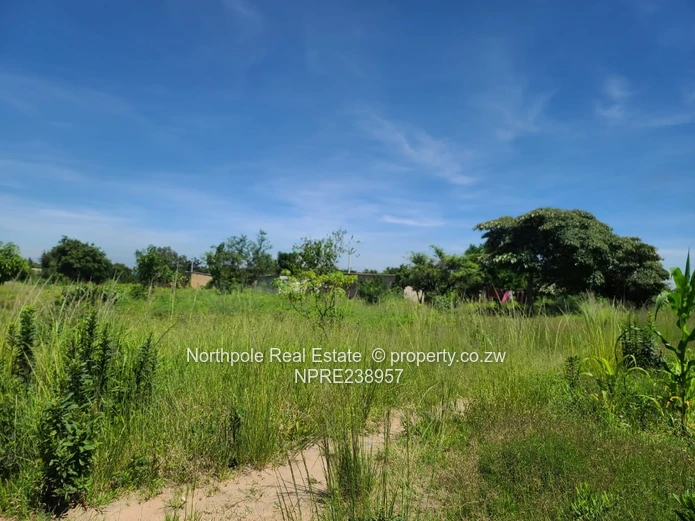 Eye Court Waterfalls Stand For Sale