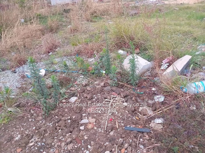  Ready to Build Stand in Cold Comfort. 