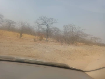 Farm & Agricultural Land