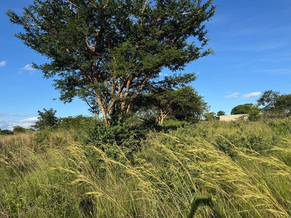 Commercial & Industrial Land