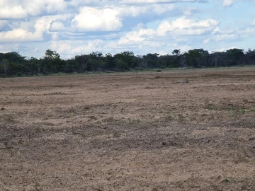 Farm & Agricultural Land