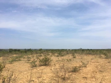 Farm & Agricultural Land