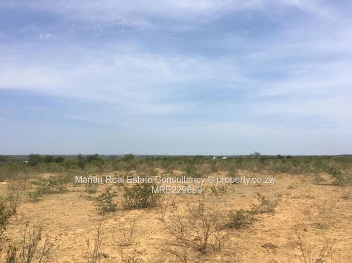  Gumtree Stand FOR SALE