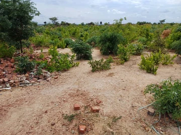 Stands & Residential Land