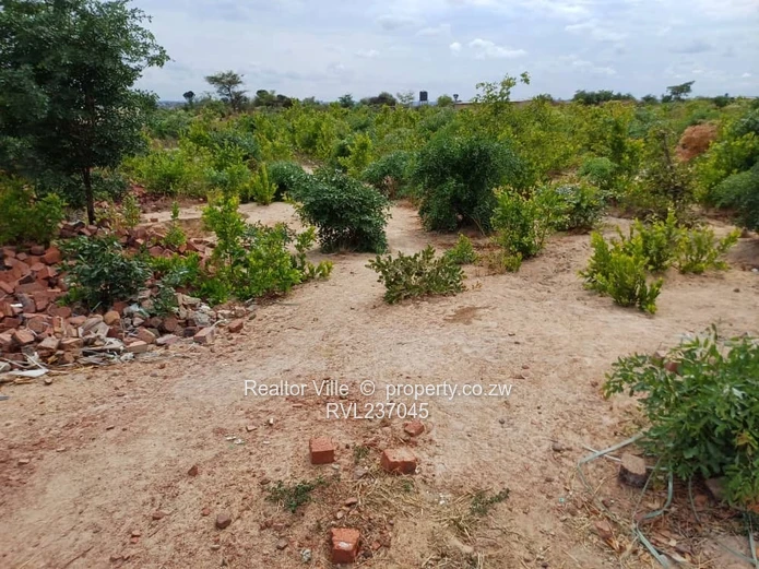 Residential Stand for Sale in Huntersville Park