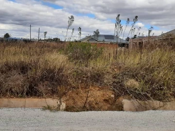 Stands & Residential Land