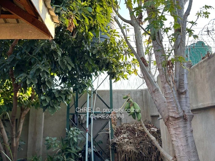 Ruwa Rockview House Fior Sale