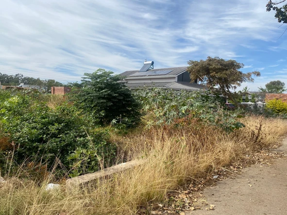 Stands & Residential Land