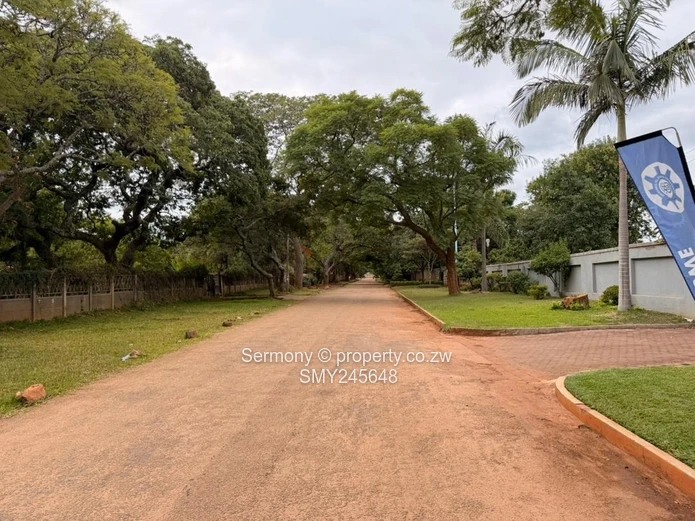 Residential house for rent