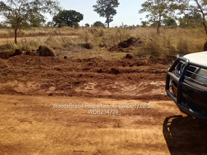 Dorfontein/ Spirtzcop