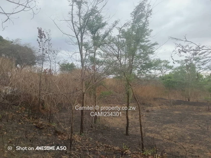 A good potential Investment