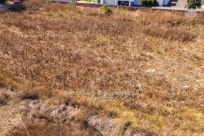 Vacant Stand in a Prime Location