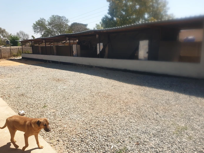 Ruwa solomio 3 bed house to rent 