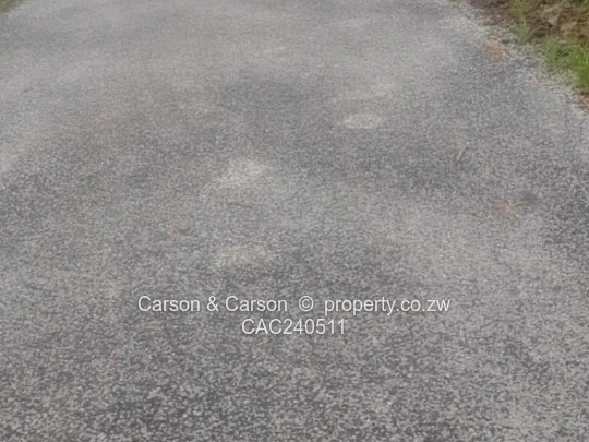 Immediately Available