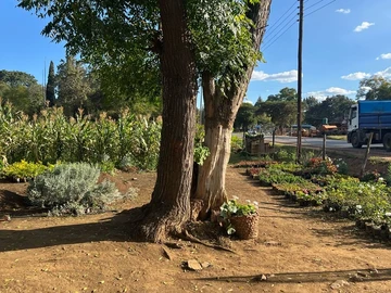 Farm & Agricultural Land