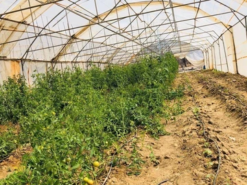 Farm & Agricultural Land