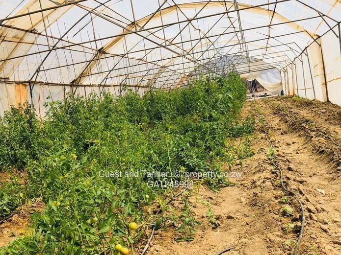 2 Prime Agricultural Plots for Sale – Ngezi Farming Area 
