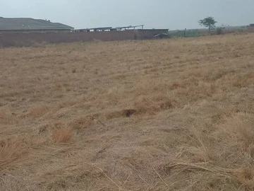 Farm & Agricultural Land