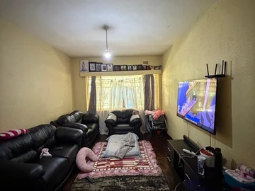 Flat & Apartment
