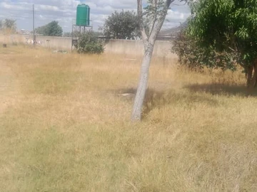 Stands & Residential Land