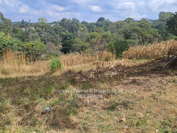 Vast piece of land for sale 