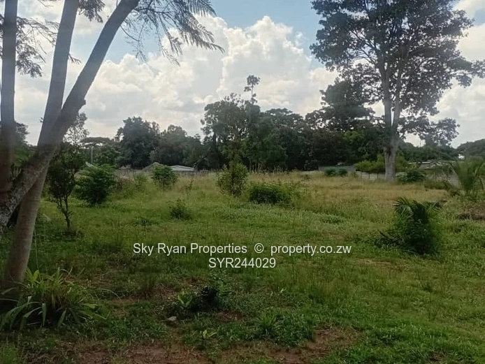 Hatfield Stand For Sale