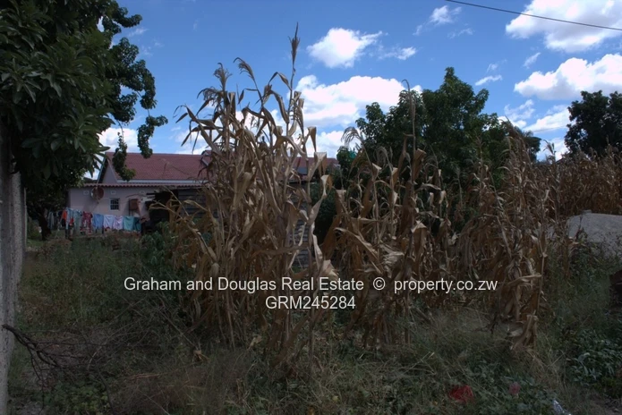 Zimre Park stand for sale