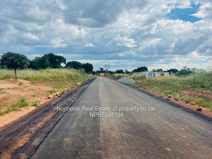 Rock Ridge Estate Stand For Sale