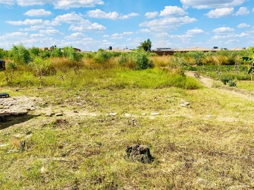 Stands & Residential Land