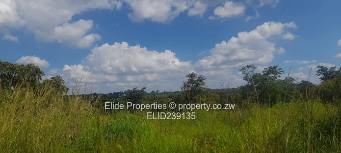 Pomona-Buckland Terrance Stand for Sale (Sole Mandate)