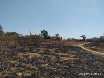 Farm & Agricultural Land