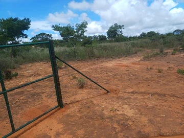 Farm & Agricultural Land