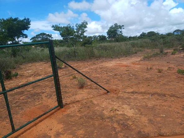 Farm & Agricultural Land