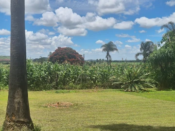 Commercial & Industrial Land