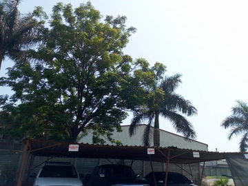 Commercial & Industrial Land