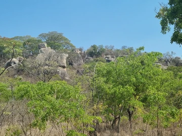 Farm & Agricultural Land