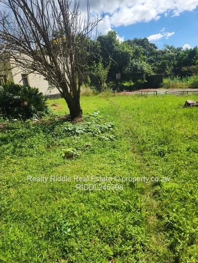 Greystone Park: 4-Bed Home on 9,185 m² with Pool & Borehole