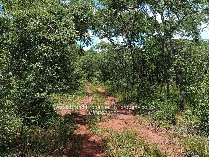 Chegutu, Dorton Plots For Sale