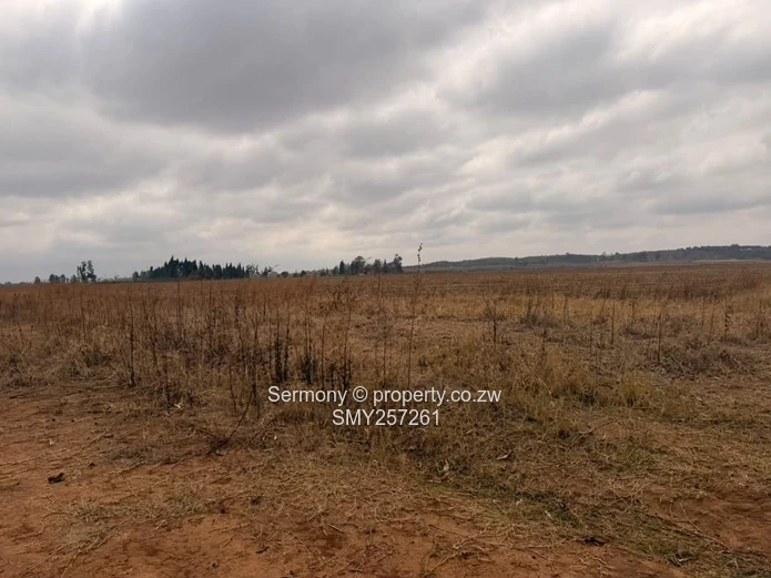 Residential stands for sale